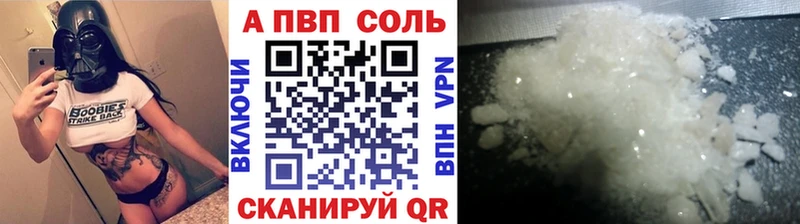 Альфа ПВП СК КРИС  Шагонар 