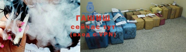 гашик Белокуриха