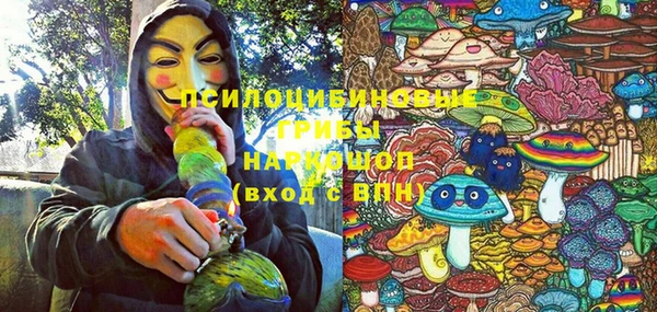 spice Беломорск