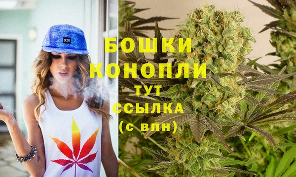 spice Беломорск