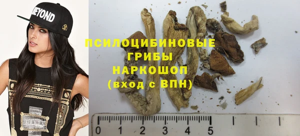 гидропоника Богданович