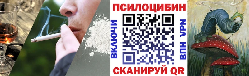 MEGA   сайты даркнета клад  Шагонар  Псилоцибиновые грибы мицелий  хочу  