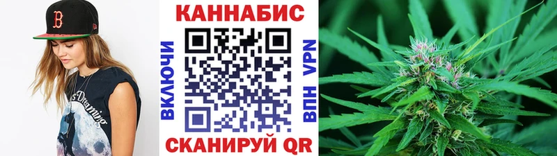 МАРИХУАНА семена  Шагонар 